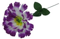 Миниатюра: Цветок искусственный Астра 41см фиолетовая+белая YL-43-а@