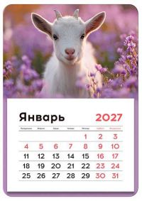 Миниатюра: Календарь настенный Символ года 2027г. BG Козлёнок на магните,отрывной,13*18см,80г/м2