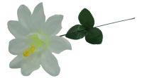 Миниатюра: Цветок искусственный Гибискус 42см белый YL-12-1@